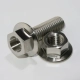 Amuse R1TITAN Titanium Exhaust Bolt and Nut Set 10mm - UNIVERSAL